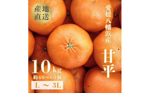 ＜愛媛が誇る 高級みかん 希少品種＞甘平 (かんぺい) 10kg＜H20-67＞【1620337】
