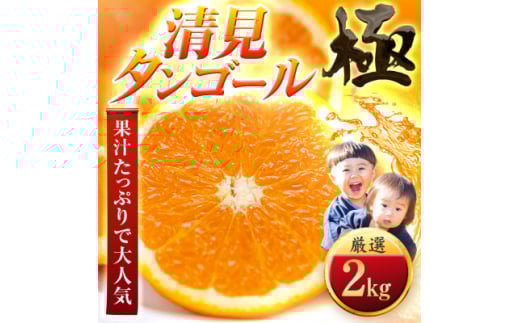 ＜太陽をたっぷり浴びた＞清見タンゴール＜極＞2kg＜A49-94＞【1623955】