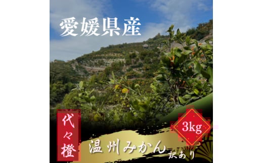代々橙みかん3kg(家庭用・サイズ混合)＜A83-33＞【1623572】 2114429 - 愛媛県八幡浜市