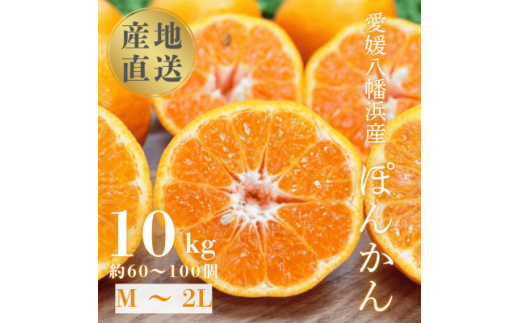 国安さんちの愛媛ポンカン10kg＜D20-4＞【1094581】 393973 - 愛媛県八幡浜市