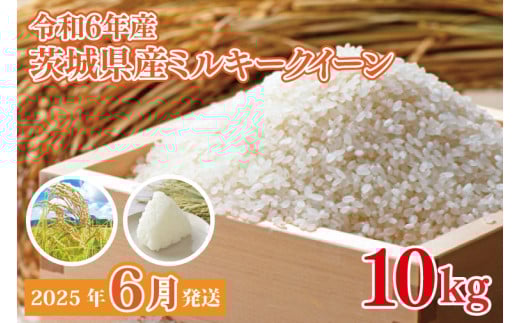 【2025年6月発送】★数量限定★令和6年 茨城県産ミルキークイーン 10kg｜米 お米 こめ ミルキークイーン 数量限定 期間限定 令和6年産 茨城県産 行方市 人気 送料無料(CU-330) 2114153 - 茨城県行方市