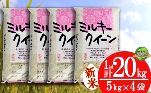 【栃木県共通返礼品】【先行予約】ミルキークイーン 20kg（5kg×4袋）|  米 こめ コメ kome 白米 精米 お米 みるきー みるきーくいーん ﾐﾙｷｰｸｲｰﾝ Milky queen ミルキークウィーン 新米 栃木米 令和7年度米 令和7年度 2025年度米 2025年度 ブランド米 栃木県 特産品 送料無料 栃木県 下野市 しもつけ市