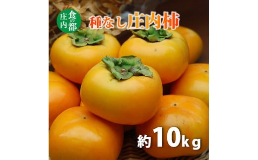 食の都庄内　種なし庄内柿約10kg（約5kg×2箱）　※令和7年10月下旬頃～順次配送 2013685 - 山形県三川町