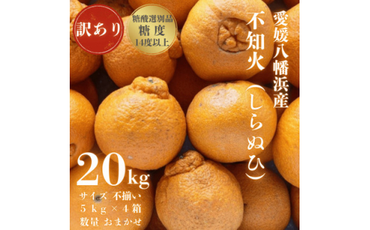 ＜糖度14.0以上酸1.4以下＞糖酸選別品 愛媛産 訳あり不知火(しらぬひ)20kg＜H20-62＞【1620231】