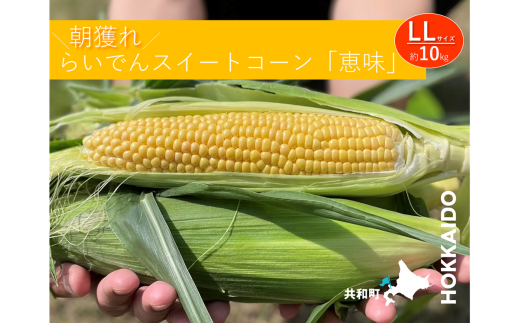 2025年 7月 出荷 先行予約 とうもろこし らいでん スイートコーン 恵味 LL 規格 約10kg