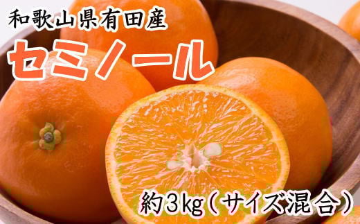 【濃厚オレンジ】和歌山有田産セミノール約3kg（サイズ混合 秀品）【tecj1023】