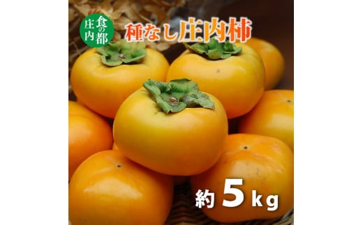 食の都庄内　種なし庄内柿約5kg　※令和7年10月下旬頃～順次配送 2014494 - 山形県三川町
