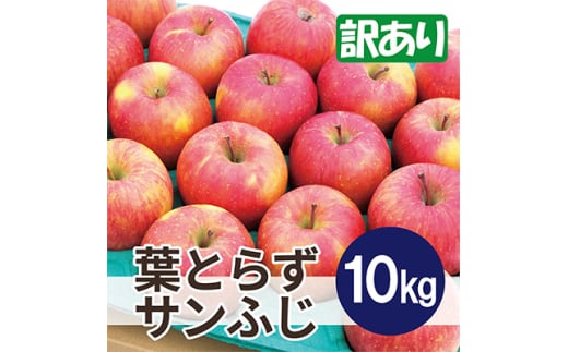 ＜2025年11月発送予定＞平均糖度13度以上! 葉とらずサンふじ 約10kg 訳あり【1607470】 2059327 - 青森県青森市
