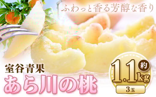 【予約受付】あら川の桃 約1.1kg 室谷青果 《2025年6月下旬-8月中旬頃出荷》 和歌山県 紀の川市