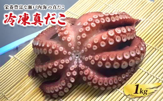 冷凍真だこ 約1kg 海鮮 海産物 お取り寄せ 人気 蛸 たこ マダコ 真ダコ タコ冷凍 クール 生 刺身 漁師 瀬戸内海 活たこ 素潜り タコつぼ 歯ごたえ 解凍 お刺身 瀬戸内 瀬戸内海沖 瀬戸内海 香川県 丸亀市
