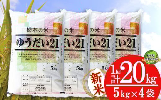 【栃木県共通返礼品】【先行予約】ゆうだい21 20kg（5kg×4袋） | 米 こめ コメ kome 白米 精米 お米 ゆうだい ユウダイ ﾕｳﾀﾞｲ 新米 栃木米 大粒 粘り 甘み お弁当 おにぎり 令和7年度米 令和7年度 2025年度米 2025年度 ブランド米 栃木県 特産品 送料無料 栃木県 下野市 しもつけ市