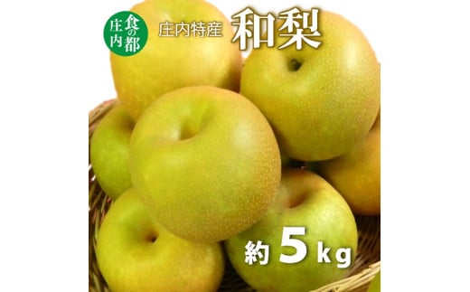 食の都庄内　庄内特産 和梨 約5kg※令和7年8月下旬頃～順次配送  2013680 - 山形県三川町