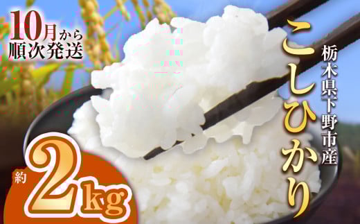 【先行予約】下野市産コシヒカリ 2kg | 米 こめ コメ kome 白米 精米 お米 こしひかり ｺｼﾋｶﾘ 新米 栃木米 令和7年度米 令和7年度 2025年度米 2025年度 ブランド米 栃木県 特産品 送料無料 栃木県 下野市 しもつけ市