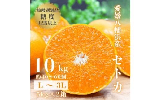 ＜みかんの大トロ＞糖度12.0以上 酸1.4以下 糖酸選別品 愛媛セトカ 10kg＜H20-77＞【1620331】