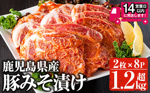 ＜14営業日以内発送！＞鹿児島県産 豚みそ漬けセット(計1.28kg・2枚×8p) 国産 豚肉 肩ロース【佐多精肉店】A158-v02 396105 - 鹿児島県曽於市