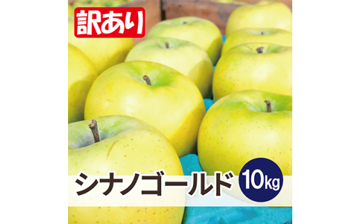 ＜26年5月出荷予定＞平均糖度13度以上! シナノゴールド 約10kg 訳あり CA貯蔵 クール便【1612905】 2084271 - 青森県青森市