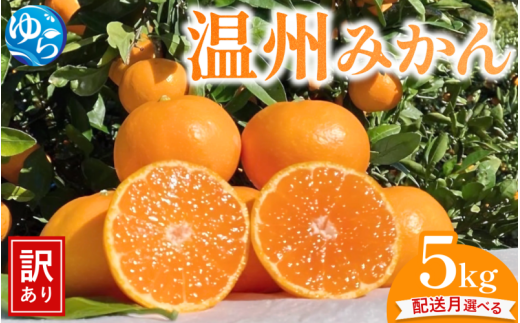 [先行予約]＼選べる配送月/ (訳あり)温州みかん 5kg [11月出荷 or 12月出荷]/ みかん ミカン 和歌山県 柑橘 甘い 蜜柑 フルーツ 果物 くだもの 食品 産地直送 由良町 ご家庭用 温州 温州ミカン [kwgc003-cho]