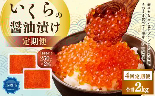 【4回定期便】いくらの醤油漬け 500g（250g×2） いくら イクラ 醤油漬け 冷凍 北海道 小樽市
