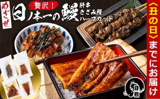 【丑の日までに配送】日ノ本一の鰻贅沢セット！(うなぎ蒲焼ハーフカット、きざみ鰻、肝串) ウナギ 国産 九州産 かばやき 冷凍 うな丼 うな重 ひつまぶし a5-312-us