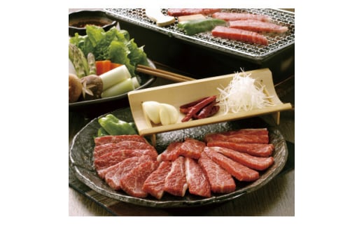 ＜GI認証＞くまもとあか牛 焼肉用500g(美里町)【1619171】