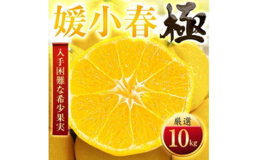 ＜太陽をたっぷり浴びた＞媛小春(ひめこはる)＜極＞10kg＜H49-101＞【1623962】