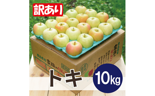 ＜2026年2月より順次発送＞平均糖度13度以上! トキ 約10kg 訳あり【1608081】 2059350 - 青森県青森市