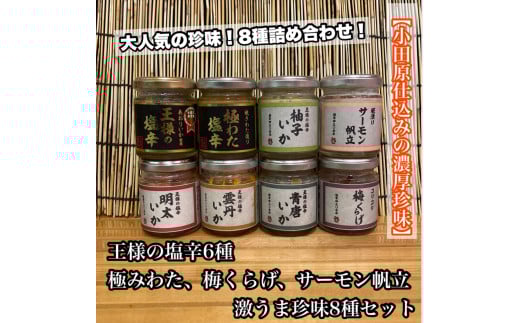 海鮮珍味 8種 各1本【王様の塩辛：焼きわた 明太子 ゆず 雲丹 青唐】【極みわたの塩辛】【梅くらげ】【サーモン帆立】【イカ 塩辛 珍味 おつまみ 惣菜 海鮮 いかの塩辛 珍味 お取り寄せ ギフト 御中元 お中元 お歳暮 父の日 母の日 贈り物 日本酒 焼酎】【神奈川県小田原市早川】