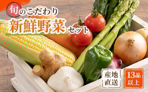 旬の新鮮野菜セット 大満足な13種以上【野菜詰め合わせ】
