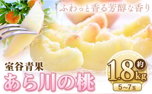 【予約受付】あら川の桃 約1.8kg 室谷青果 《2025年6月下旬-8月中旬頃出荷》 和歌山県 紀の川市