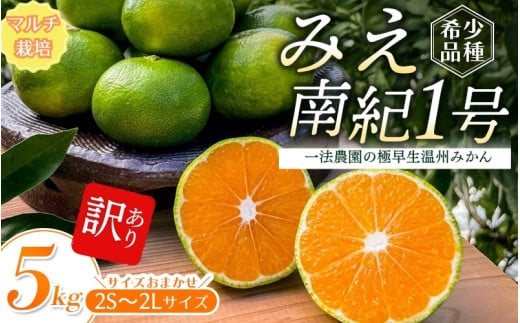 【先行予約】みえ南紀1号  一法農園の 極早生温州みかん 2S-2L サイズ混合 5kg ご家庭用 ちょこっと訳あり マルチ栽培【2025年9月中旬～10月中旬までに順次発送】 / みかん 蜜柑 極早生 数量限定 温州 ミカン フルーツ 果物 くだもの