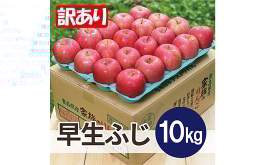 ＜2025年11月発送予定＞平均糖度13度以上! 早生ふじ 約10kg 訳あり【1607523】 2059334 - 青森県青森市
