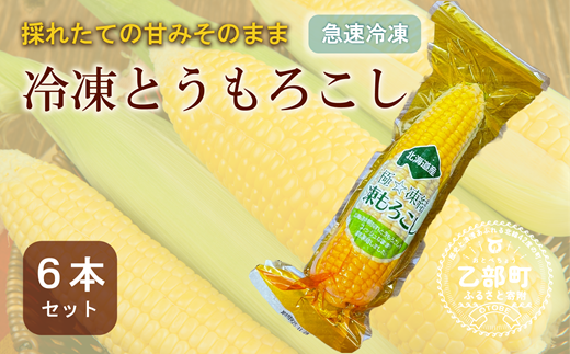 ＜ささや農園産 極★凍結とうもろこし 6本