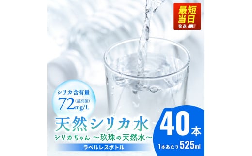天然 シリカ 水 525ml × 40本 