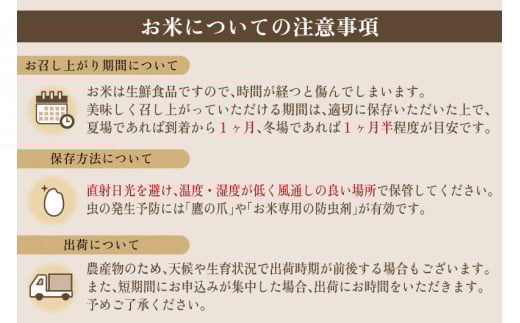 新潟県加茂市のふるさと納税 【令和7年産新米先行予約】【定期便6ヶ月毎月お届け】新潟県産 新之助 精米2kg 《2kg×1袋》《10月上旬から順次発送》 新潟 ブランド米 加茂市 加茂ユナイテッド