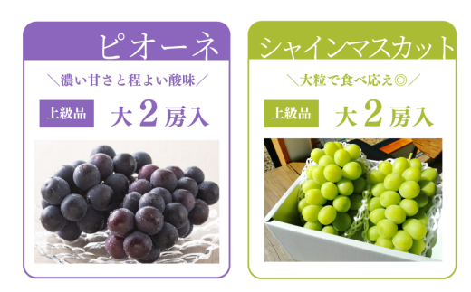 アイテムID:425260の画像3枚目