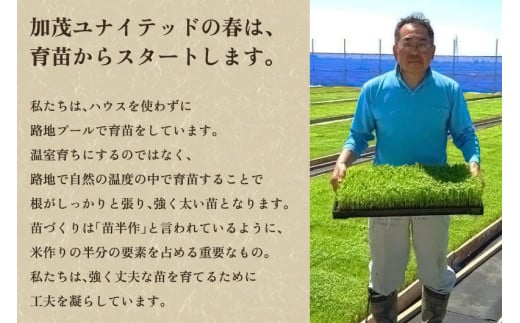 新潟県加茂市のふるさと納税 【令和7年産新米先行予約】【定期便6ヶ月毎月お届け】新潟県産 新之助 精米2kg 《2kg×1袋》《10月上旬から順次発送》 新潟 ブランド米 加茂市 加茂ユナイテッド