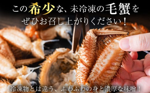 2026年発送予約】チルドでお届け! 浜茹で毛ガニ中サイズ2尾 2026年発送予約】チルドでお届け! 浜茹で毛ガニ中サイズ2尾