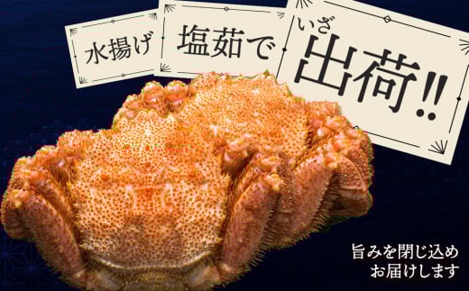 北海道浜頓別町のふるさと納税 ☆北海道産 毛ガニ 約500g×2尾 セット かに 蟹 毛蟹 冷凍 北海道産 浜頓別町