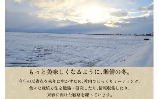 新潟県加茂市のふるさと納税 【令和7年産新米先行予約】【定期便6ヶ月毎月お届け】新潟県産 新之助 精米2kg 《2kg×1袋》《10月上旬から順次発送》 新潟 ブランド米 加茂市 加茂ユナイテッド