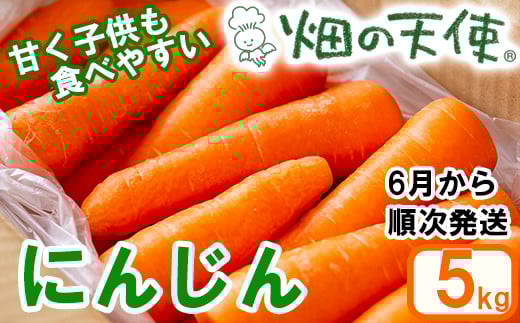 【予約受付】農薬・化学肥料不使用 《自然のまま》にんじん 5kg 2025年6月以降配送