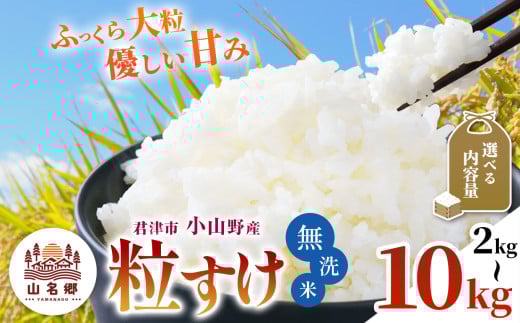 【  先行予約  】＼ 8月下旬から順次発送 ／ 無洗米 令和7年産 君津市小山野産 粒すけ 新米 選べる容量 2kg 3kg 5kg 10kg | メディアで紹介 ！ あかかげ農園 山名郷米 やまなごう まい 千葉稲作 しんまい シンマイ つぶすけ 千葉県産 むせんまい 米 コメ こめ お米 千葉県 君津市 きみつ