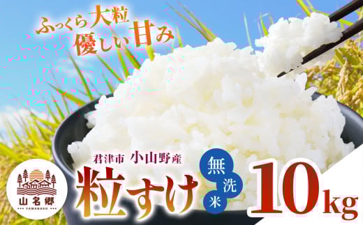 【 先行予約 】＼ 8月下旬から順次発送 ／ 無洗米 令和7年産 君津市小山野産 10kg 粒すけ 新米 | メディアで紹介 ！ あかかげ農園 山名郷米 千葉稲作 しんまい シンマイ つぶすけ 千葉県産 むせんまい 米 コメ こめ お米 千葉県 君津市 きみつ 2133865 - 千葉県君津市