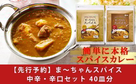 先行予約 スパイスカレー 中辛/辛口セット [誰でも簡単レシピ付] 40皿分(200g) 無添加 カレースパイス (ま〜ちゃんスパイス 中辛 辛口)　【010S751】