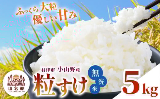 【 先行予約 】＼ 8月下旬から順次発送 ／ 無洗米 令和7年産 君津市小山野産 5kg 粒すけ 新米 | メディアで紹介 ！ あかかげ農園 山名郷米 メディアで紹介 ！千葉稲作 しんまい シンマイ つぶすけ 千葉県産 むせんまい 米 コメ こめ お米 千葉県 君津市 きみつ 2133864 - 千葉県君津市