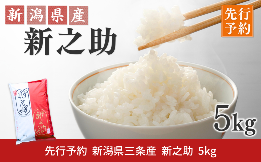 先行予約 新潟県三条産新之助 5kg×1袋 令和7年産新之助 精米 新潟県産新之助 【017S140】