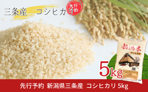 先行予約 新潟県三条産コシヒカリBL  5kg×1袋 令和7年産コシヒカリ 精米 新潟県産コシヒカリ 【016S082】