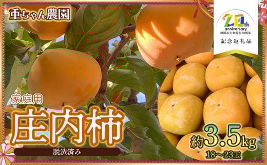 【令和7年産先行予約】　庄内柿 （ひらたねなし柿）　家庭用　約3.5kg　18～23玉　【市制施行20周年記念返礼品】　重ちゃん農園 2096285 - 山形県鶴岡市
