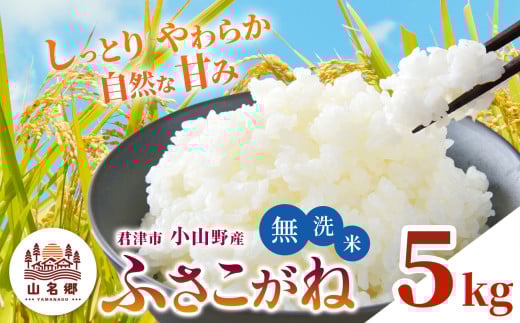 【 先行予約 】＼ 8月下旬から順次発送 ／ 無洗米 令和7年産 君津市小山野産 5kg ふさこがね 新米 | メディアで紹介 ！ あかかげ農園 山名郷米 メディアで紹介 ！千葉稲作 しんまい シンマイ フサコガネ 千葉県産 むせんまい 米 コメ こめ お米 千葉県 君津市 きみつ 2133788 - 千葉県君津市