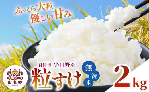 [ 先行予約 ]＼ 8月下旬から順次発送 / 無洗米 令和7年産 君津市小山野産 2kg 粒すけ 新米 | メディアで紹介 ! あかかげ農園 山名郷米 やまなごう まい 千葉稲作 しんまい シンマイ つぶすけ 千葉県産 むせんまい 米 コメ こめ お米 千葉県 君津市 きみつ