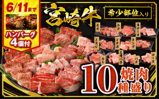 【2025年7月発送】【期間・数量限定】宮崎牛焼肉10種盛り合わせ・国産牛ハンバーグ100g×4個_M132-067-B1-jul 1144703 - 宮崎県宮崎市
